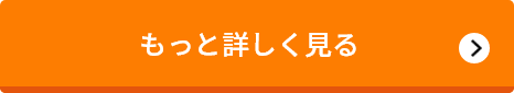 もっと詳しく見る