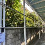 目隠しパネル　施工前