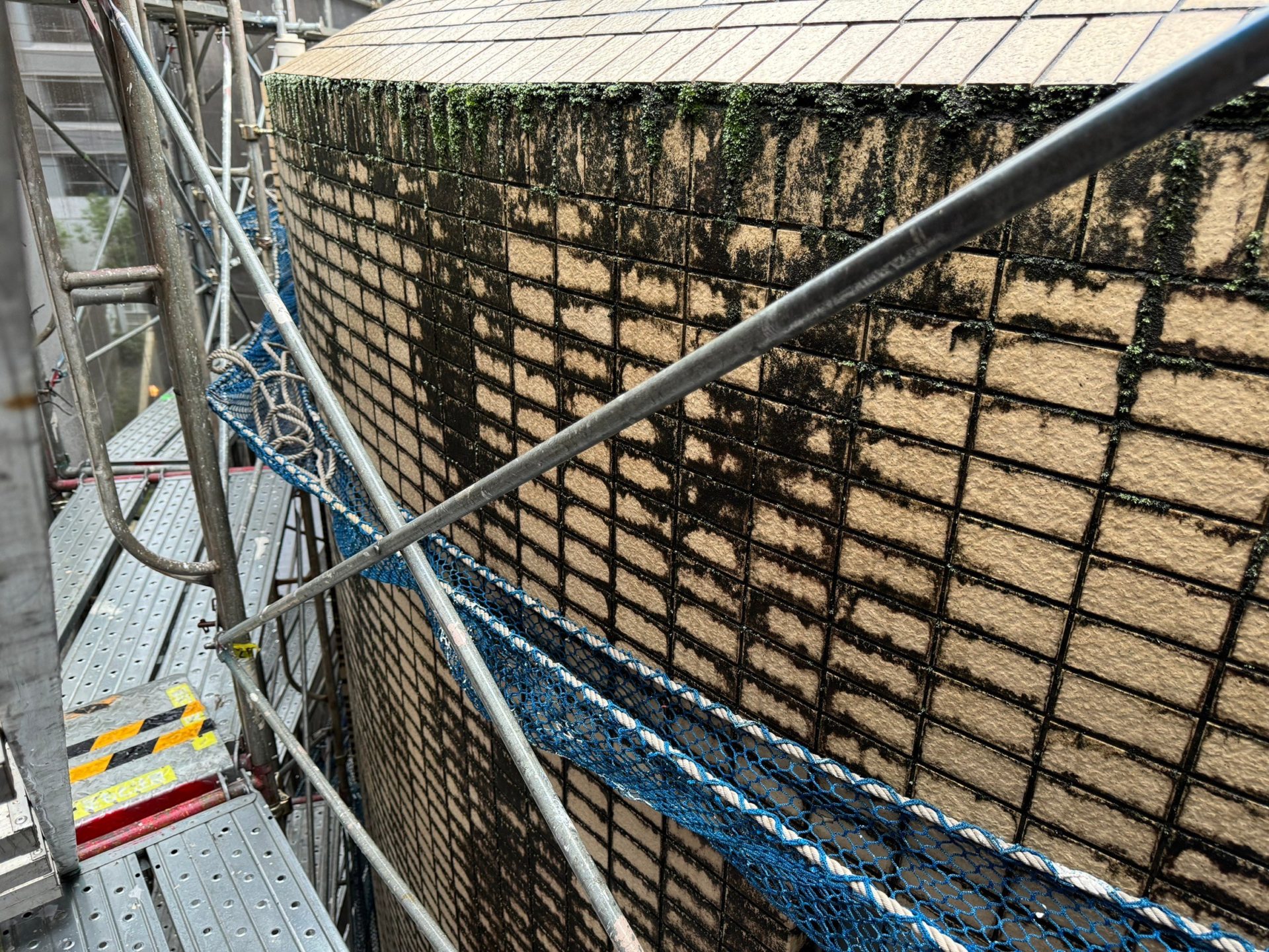 外壁タイル　施工前