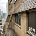 外壁　薬品洗浄工事　施工前