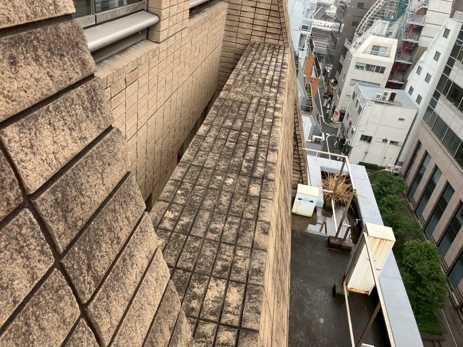 外壁　薬品洗浄工事　施工前