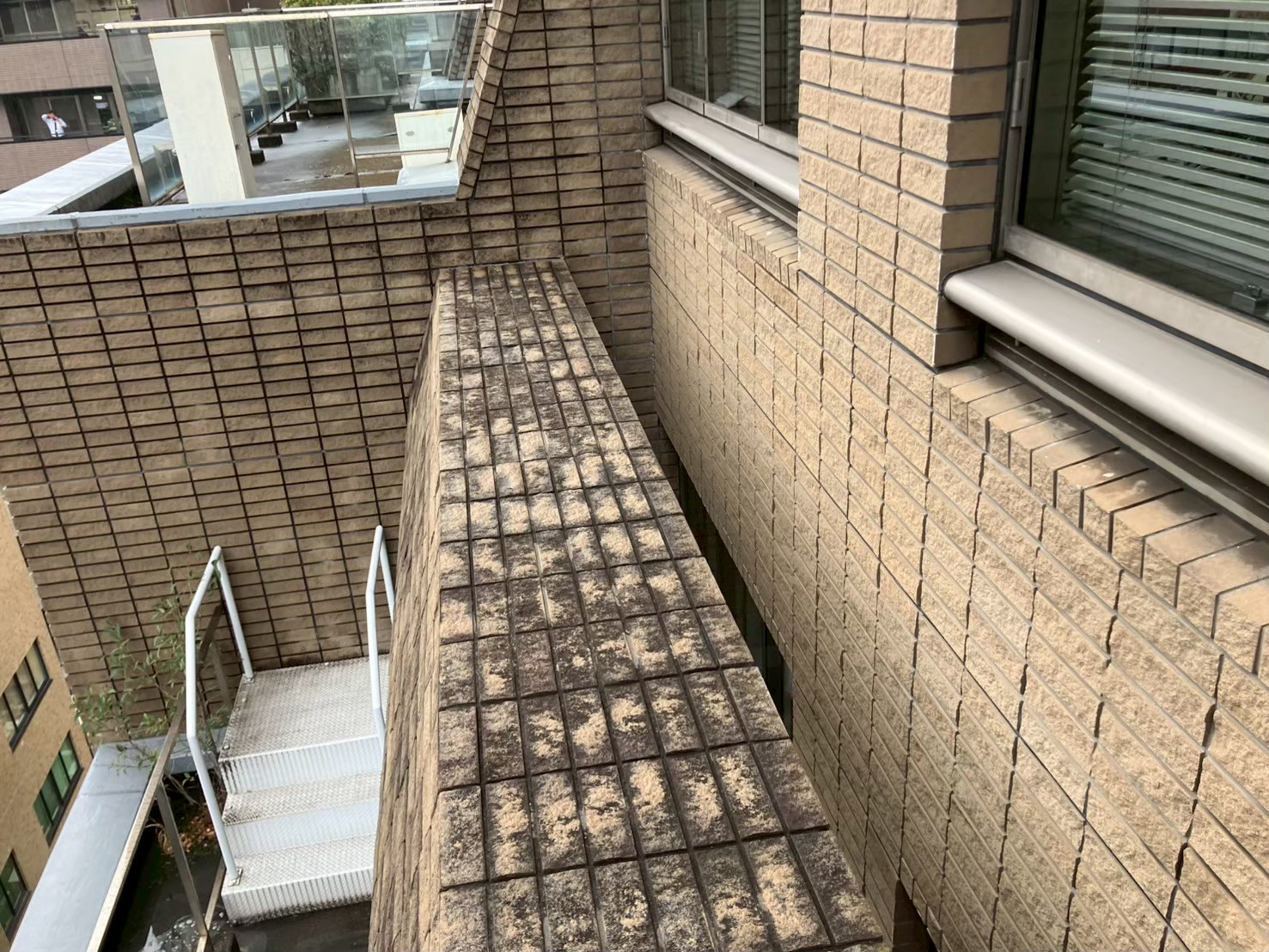 外壁　薬品洗浄工事　施工前