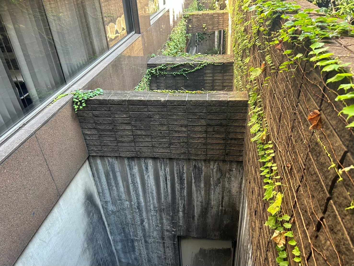 外壁　薬品洗浄工事　施工前