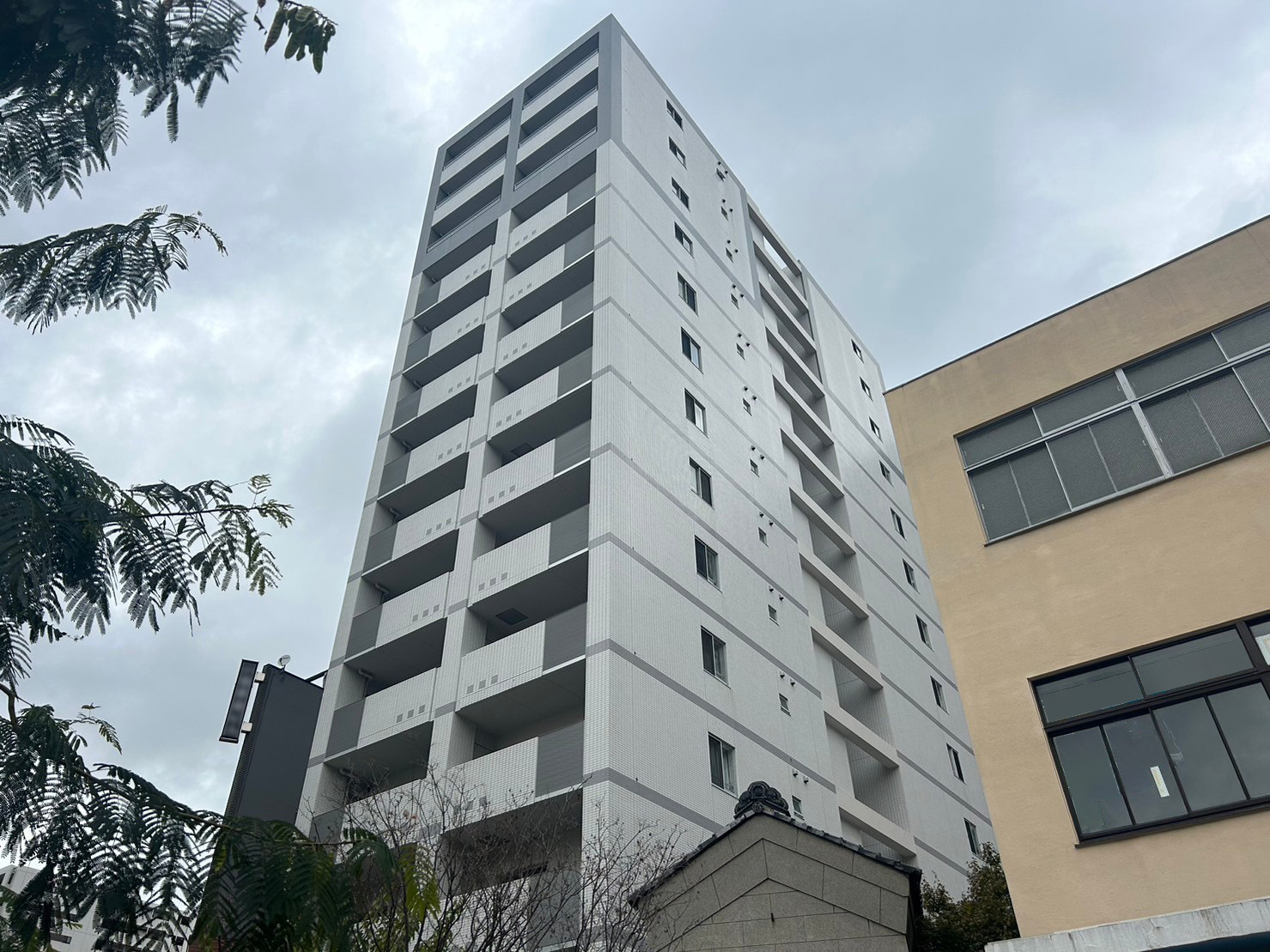全体施工前