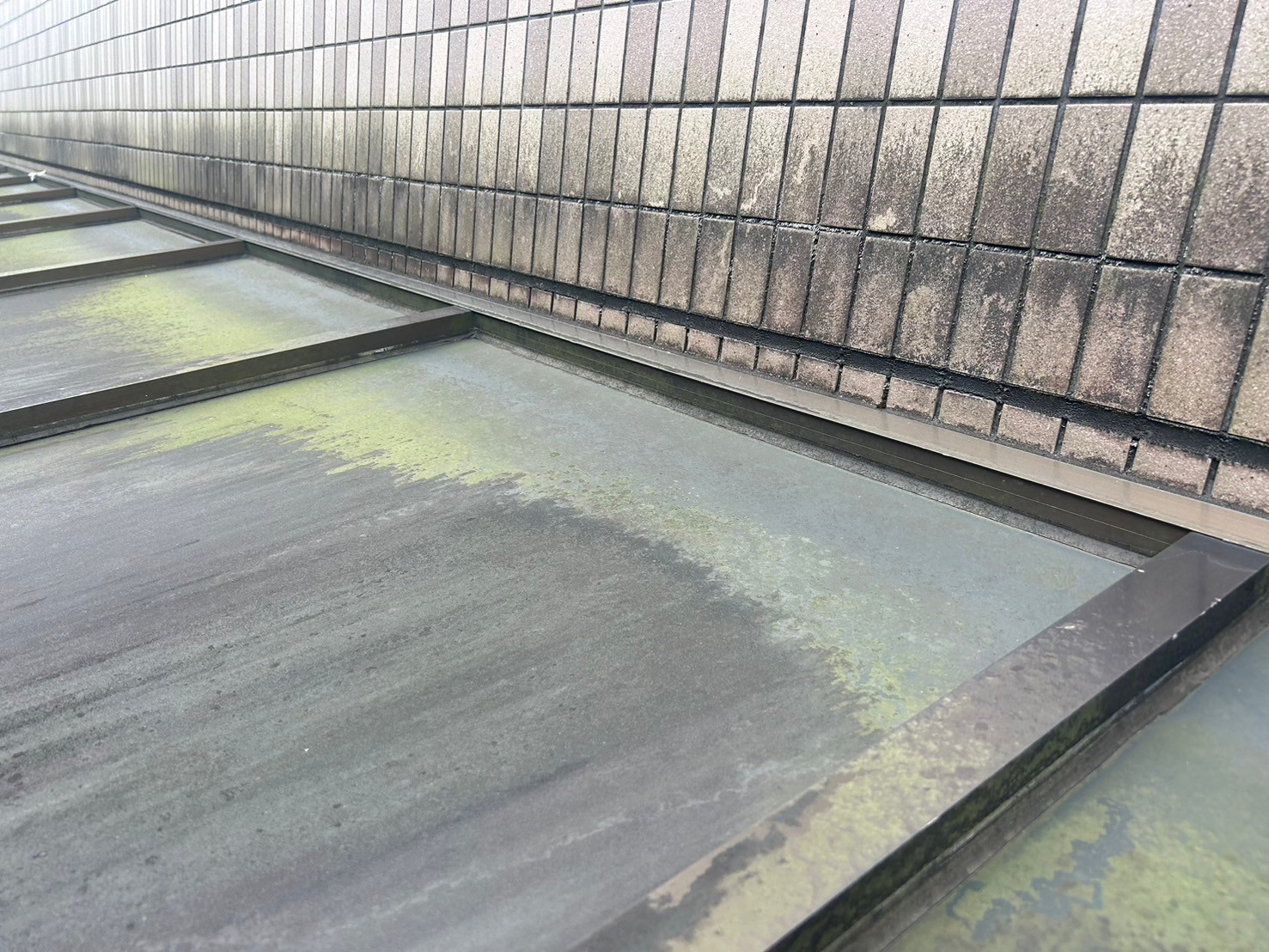 外壁洗浄　薬品洗浄　施工前