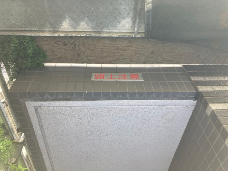 水平養生とは何ですか?